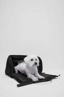 Dog travel bag with quilted mat