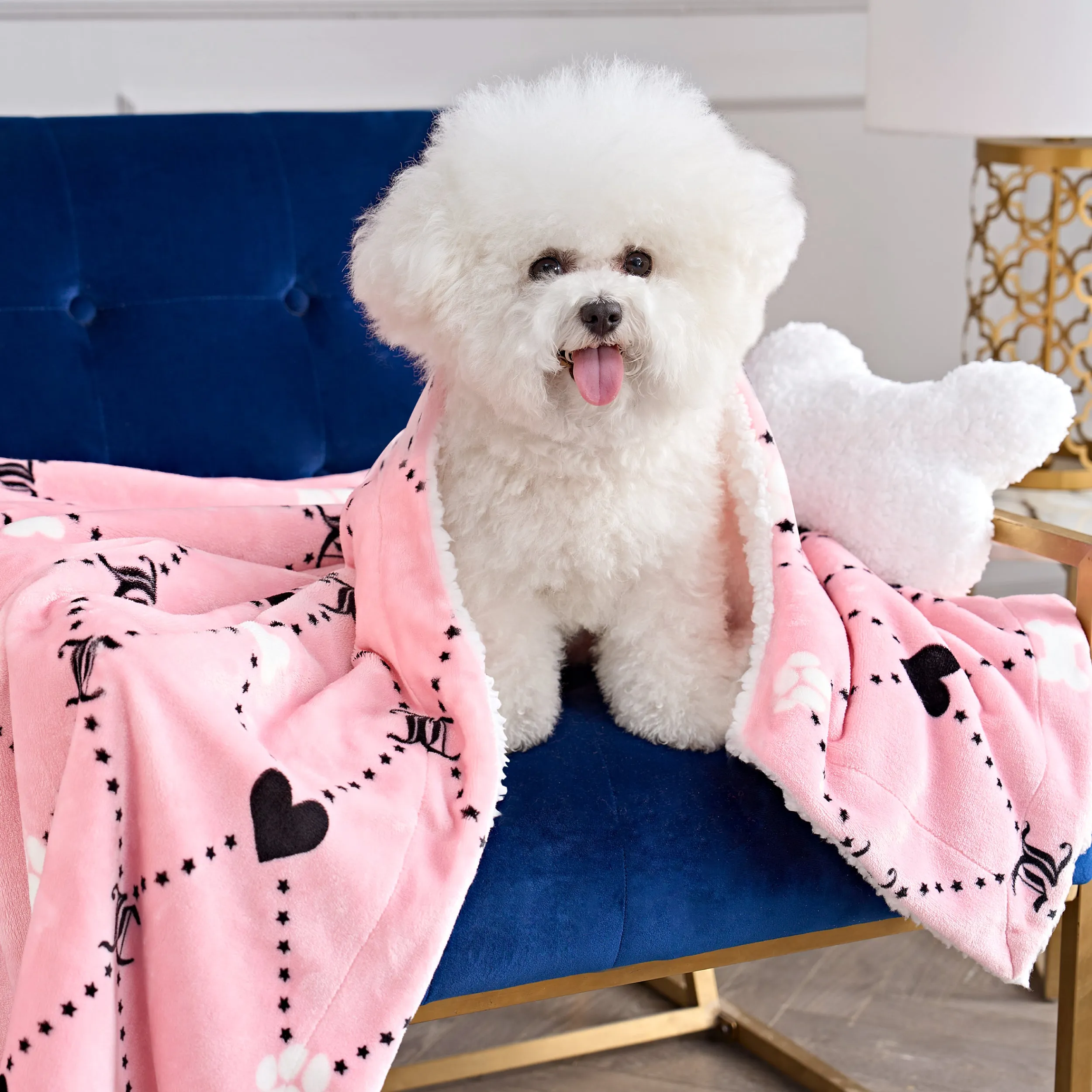 Pet Blanket & Pillow Set