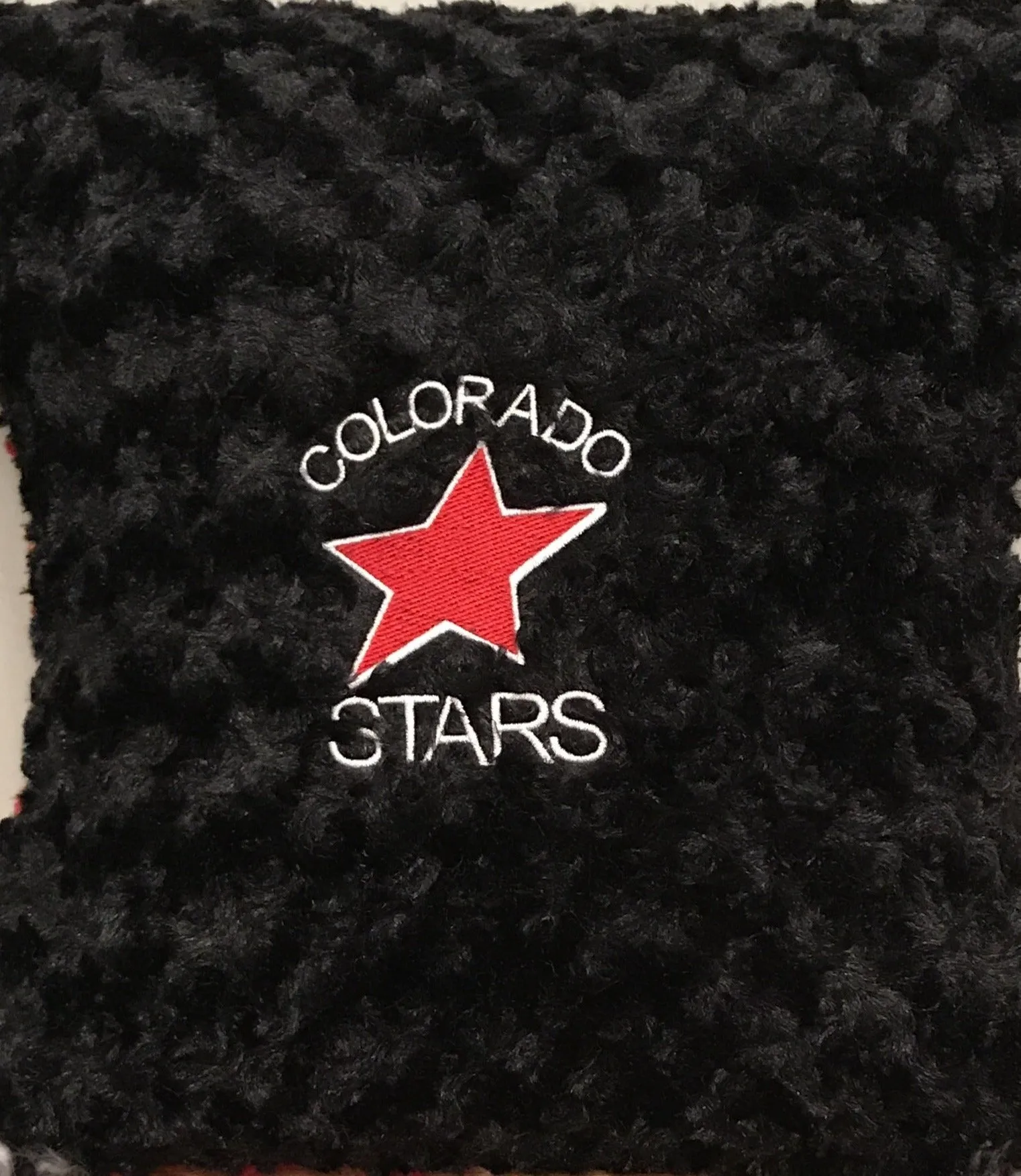 STARS Team Pillow-Small Logo